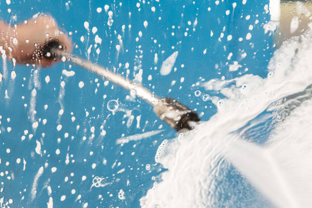 Best Animal Enclosure Cleaning  in Cottonde, AL
