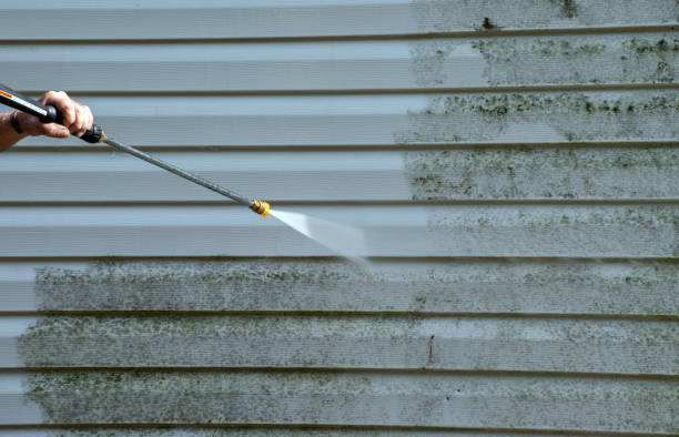 Best Patio and Deck Pressure Washing  in Cottonde, AL